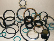 Oil Seals